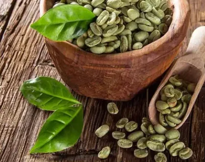 Green Coffee Bean Extract — ingredient in SodaSlim
